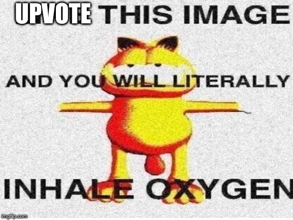 like please |  UPVOTE | image tagged in cat | made w/ Imgflip meme maker