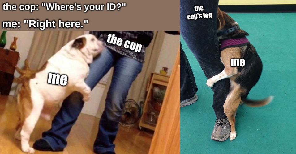 a Freud meme | the cop's leg; me | image tagged in memes,school | made w/ Imgflip meme maker