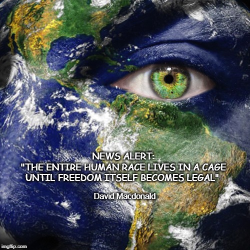 NEWS ALERT:
"THE ENTIRE HUMAN RACE LIVES IN A CAGE
UNTIL FREEDOM ITSELF BECOMES LEGAL"; David Macdonald | image tagged in mother earth,braveheart freedom,slavery,humanity | made w/ Imgflip meme maker
