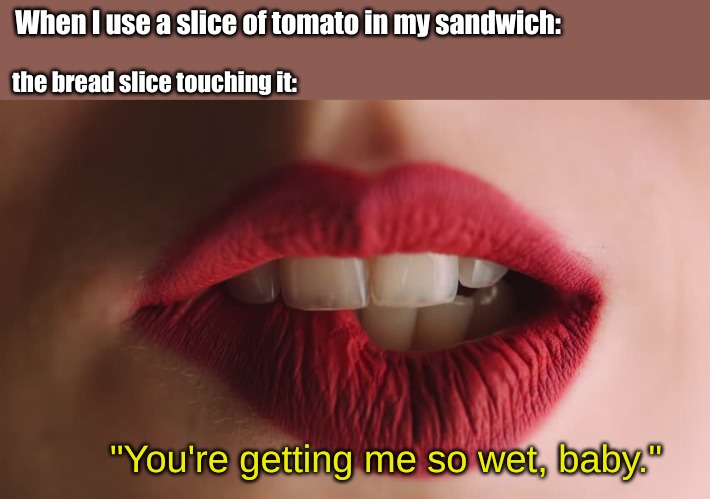 When I use a slice of tomato in my sandwich:; the bread slice touching it:; "You're getting me so wet, baby." | image tagged in food,memes | made w/ Imgflip meme maker