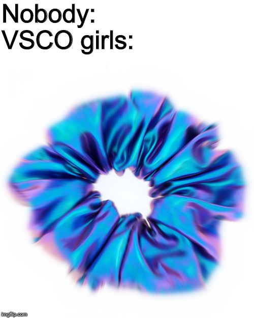VSCO girls be like | Nobody:
VSCO girls: | image tagged in blurred scrunchie | made w/ Imgflip meme maker