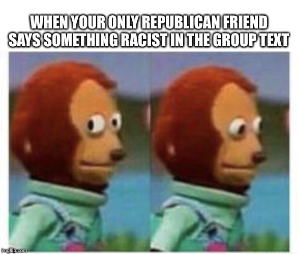 side eye teddy | WHEN YOUR ONLY REPUBLICAN FRIEND SAYS SOMETHING RACIST IN THE GROUP TEXT | image tagged in side eye teddy | made w/ Imgflip meme maker