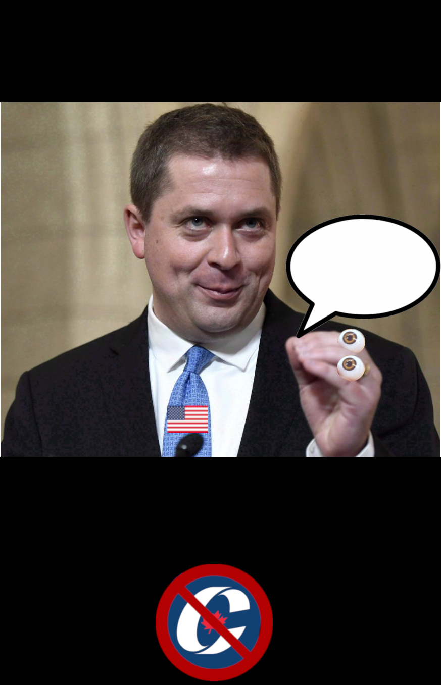 High Quality Crazy Andrew Scheer Blank Meme Template