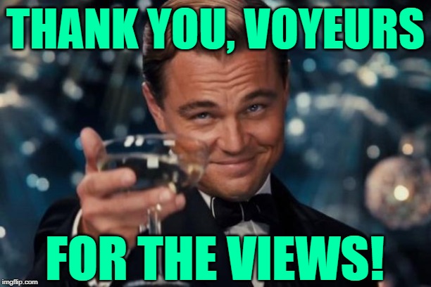 Thank You, Voyeurs! | THANK YOU, VOYEURS; FOR THE VIEWS! | image tagged in leonardo dicaprio cheers,views,statistics,imgflip users,thank you,funny memes | made w/ Imgflip meme maker
