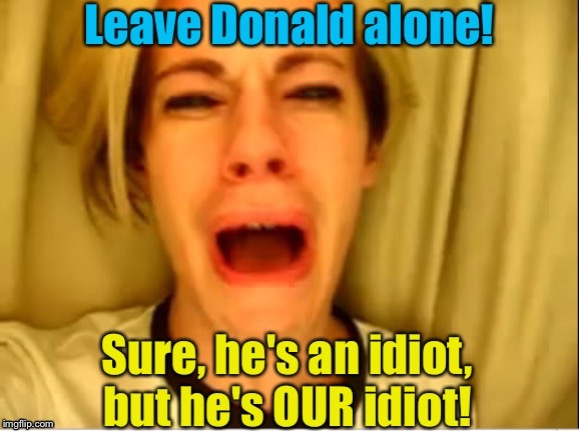 Leave him alone! | image tagged in leave donald alone | made w/ Imgflip meme maker