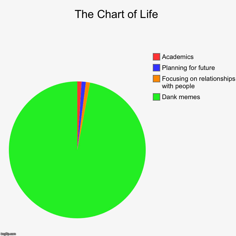 The Chart of Life | Dank memes, Focusing on relationships with people, Planning for future, Academics | image tagged in charts,pie charts | made w/ Imgflip chart maker