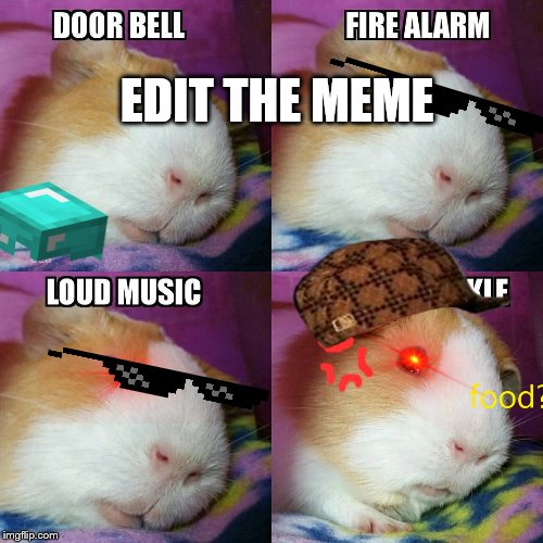 edit the meme | EDIT THE MEME | image tagged in edit the meme,funny,mad,memes | made w/ Imgflip meme maker
