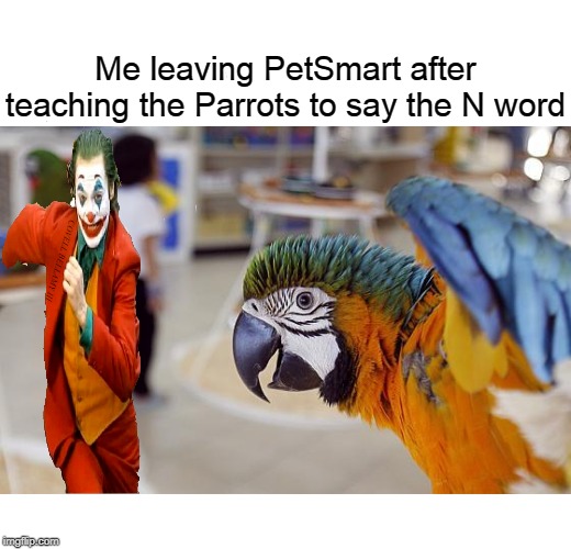Me leaving PetSmart after teaching the Parrots to say the N word; COVELL BELLAMY III | image tagged in petsmart parrots teaching n word | made w/ Imgflip meme maker