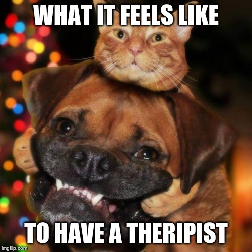 dogs an cats | WHAT IT FEELS LIKE; TO HAVE A THERAPIST | image tagged in dogs an cats | made w/ Imgflip meme maker