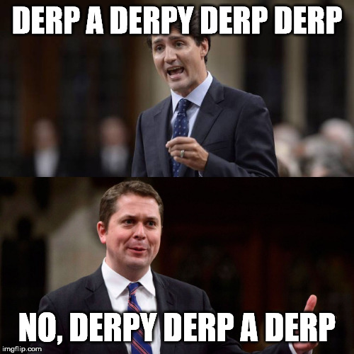 Derp | DERP A DERPY DERP DERP; NO, DERPY DERP A DERP | image tagged in trudeau and scheer,meanwhile in canada | made w/ Imgflip meme maker