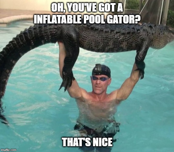 OH, YOU'VE GOT A INFLATABLE POOL GATOR? THAT'S NICE | image tagged in florida,alligator,that's nice | made w/ Imgflip meme maker