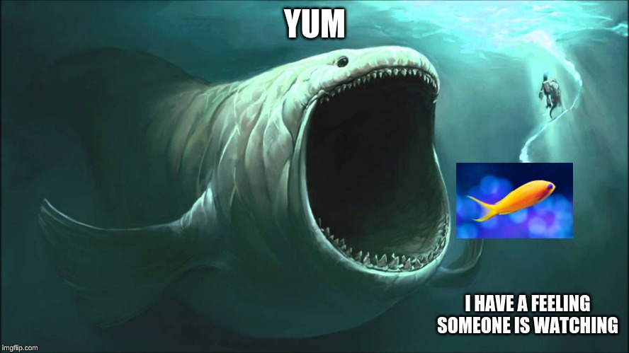 Big fish | YUM; I HAVE A FEELING SOMEONE IS WATCHING | image tagged in big fish | made w/ Imgflip meme maker
