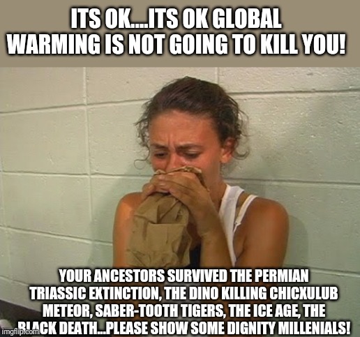 Ever get the impression global warming is becoming the next boogeyman? | ITS OK....ITS OK GLOBAL WARMING IS NOT GOING TO KILL YOU! YOUR ANCESTORS SURVIVED THE PERMIAN TRIASSIC EXTINCTION, THE DINO KILLING CHICXULUB METEOR, SABER-TOOTH TIGERS, THE ICE AGE, THE BLACK DEATH...PLEASE SHOW SOME DIGNITY MILLENIALS! | image tagged in don't panic | made w/ Imgflip meme maker