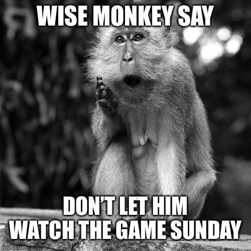 Wise Monkey | WISE MONKEY SAY DON’T LET HIM WATCH THE GAME SUNDAY | image tagged in wise monkey | made w/ Imgflip meme maker