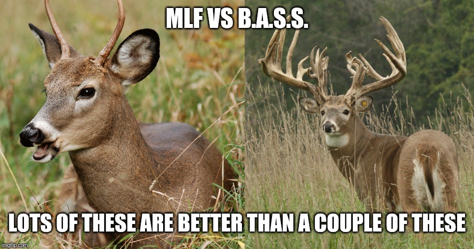 MLF VS B.A.S.S. LOTS OF THESE ARE BETTER THAN A COUPLE OF THESE | made w/ Imgflip meme maker