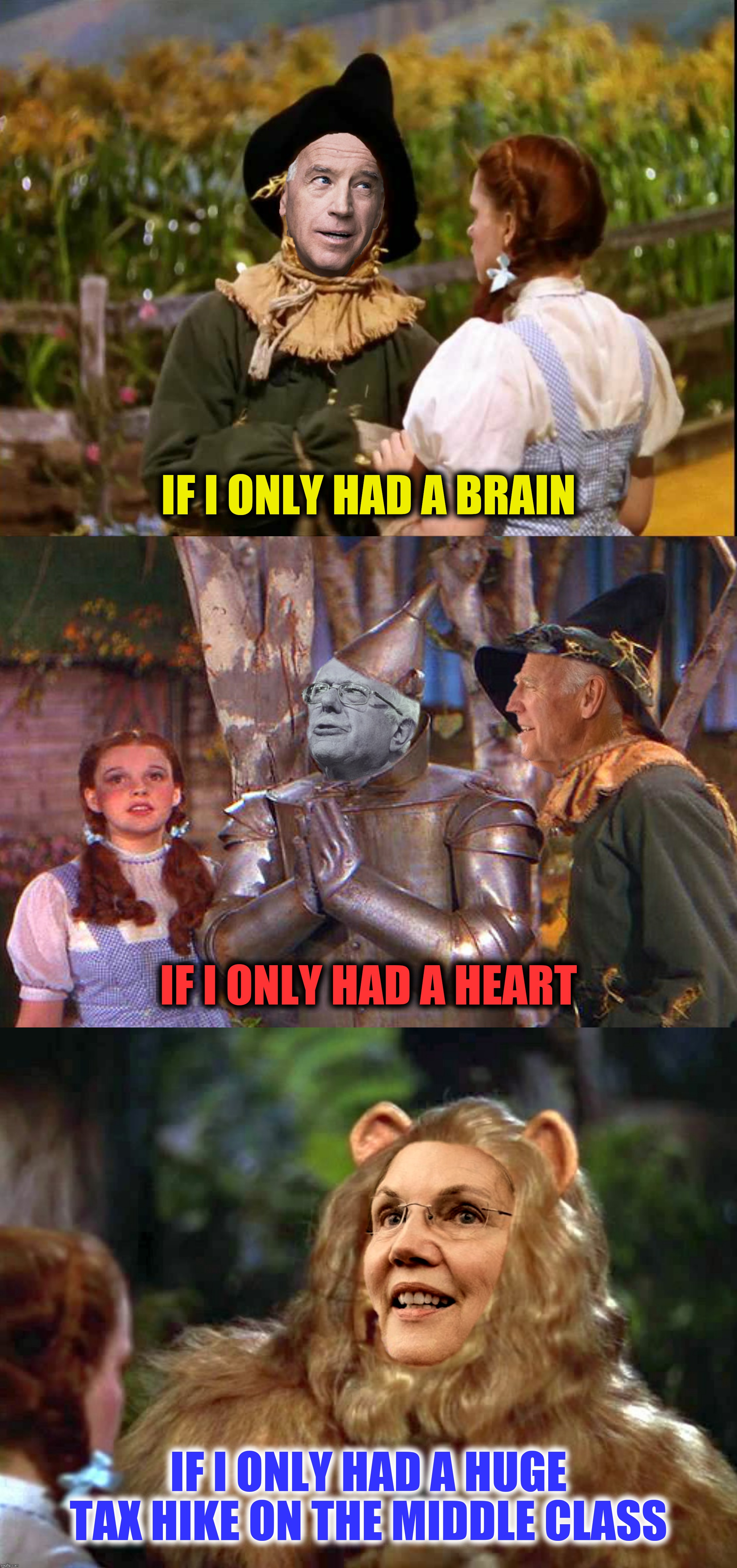 Bad Photoshop Sunday presents:  Somewhere Over The Rainbow | IF I ONLY HAD A BRAIN; IF I ONLY HAD A HEART; IF I ONLY HAD A HUGE TAX HIKE ON THE MIDDLE CLASS | image tagged in bad photoshop sunday,wizard of oz,joe biden,bernie sanders,elizabeth warren | made w/ Imgflip meme maker