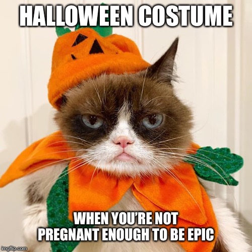 Grumpy Cat Halloween | HALLOWEEN COSTUME; WHEN YOU’RE NOT PREGNANT ENOUGH TO BE EPIC | image tagged in grumpy cat halloween | made w/ Imgflip meme maker