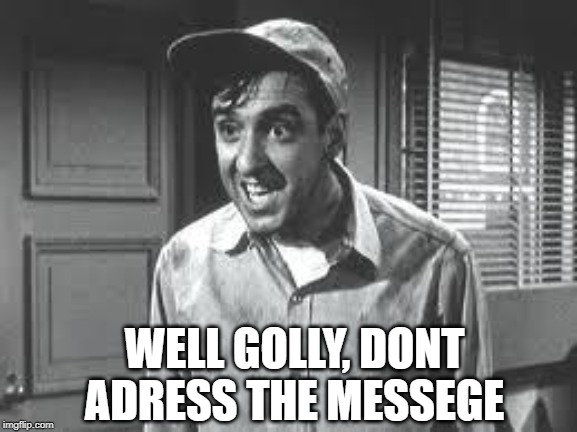 Gomer Pyle | WELL GOLLY, DONT ADRESS THE MESSEGE | image tagged in gomer pyle | made w/ Imgflip meme maker