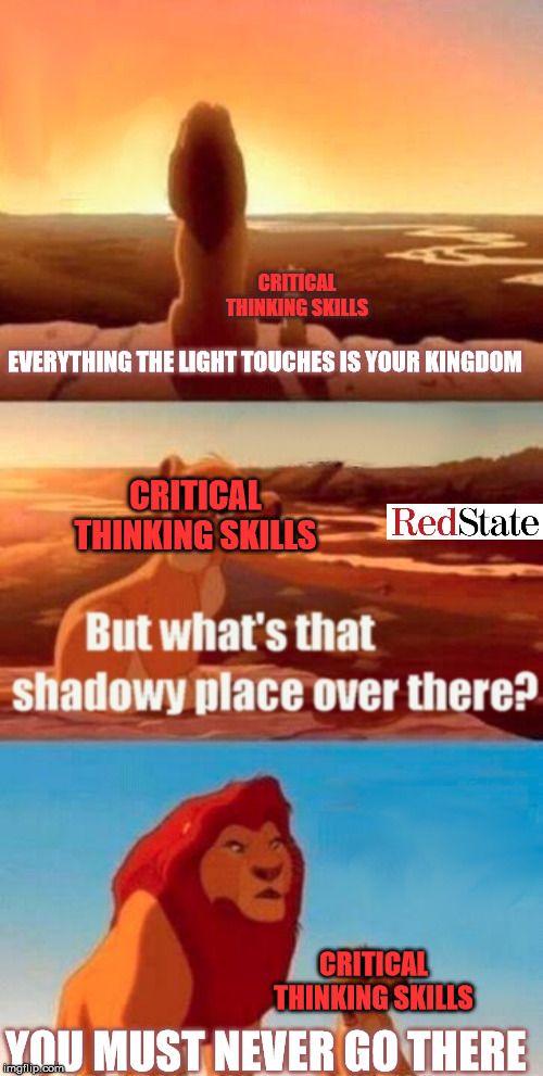 Simba Shadowy Place | CRITICAL THINKING SKILLS; EVERYTHING THE LIGHT TOUCHES IS YOUR KINGDOM; CRITICAL THINKING SKILLS; CRITICAL THINKING SKILLS; YOU MUST NEVER GO THERE | image tagged in memes,simba shadowy place | made w/ Imgflip meme maker