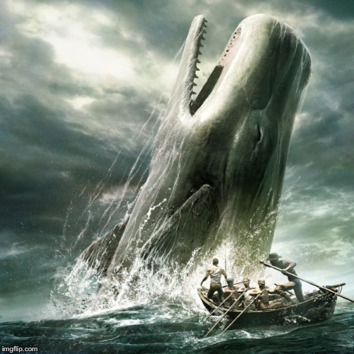 moby dick | image tagged in moby dick | made w/ Imgflip meme maker