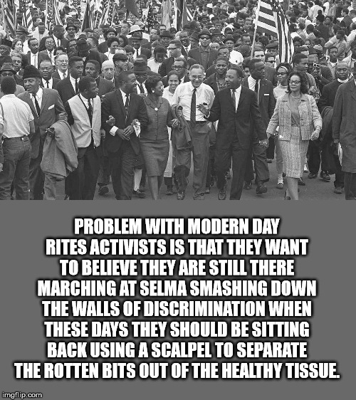 A for effort, F for style | PROBLEM WITH MODERN DAY RITES ACTIVISTS IS THAT THEY WANT TO BELIEVE THEY ARE STILL THERE MARCHING AT SELMA SMASHING DOWN THE WALLS OF DISCRIMINATION WHEN THESE DAYS THEY SHOULD BE SITTING BACK USING A SCALPEL TO SEPARATE THE ROTTEN BITS OUT OF THE HEALTHY TISSUE. | image tagged in civil rights | made w/ Imgflip meme maker