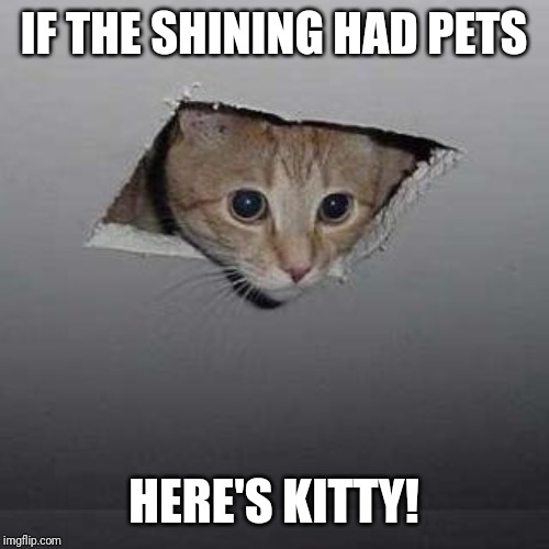 Ceiling Cat | IF THE SHINING HAD PETS; HERE'S KITTY! | image tagged in memes,ceiling cat | made w/ Imgflip meme maker