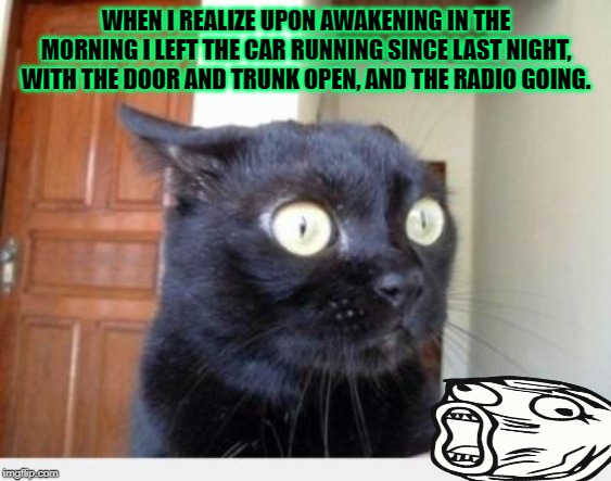 Scared Cat | WHEN I REALIZE UPON AWAKENING IN THE MORNING I LEFT THE CAR RUNNING SINCE LAST NIGHT, WITH THE DOOR AND TRUNK OPEN, AND THE RADIO GOING. | image tagged in scared cat | made w/ Imgflip meme maker