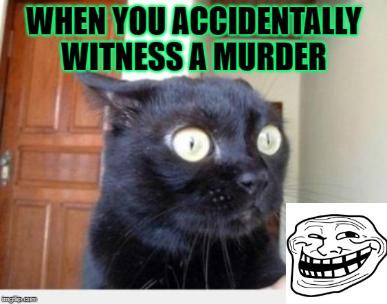 Scared Cat | WHEN YOU ACCIDENTALLY WITNESS A MURDER | image tagged in scared cat | made w/ Imgflip meme maker