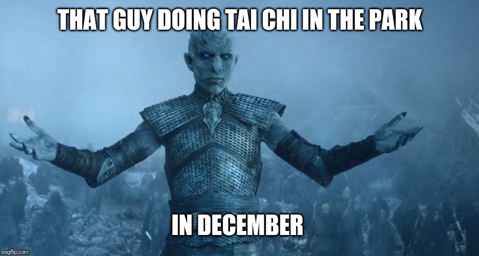 Night's King | THAT GUY DOING TAI CHI IN THE PARK; IN DECEMBER | image tagged in night's king | made w/ Imgflip meme maker
