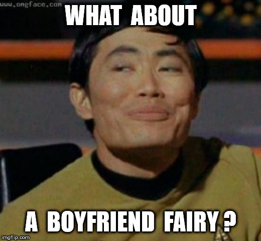 sulu | WHAT  ABOUT A  BOYFRIEND  FAIRY ? | image tagged in sulu | made w/ Imgflip meme maker
