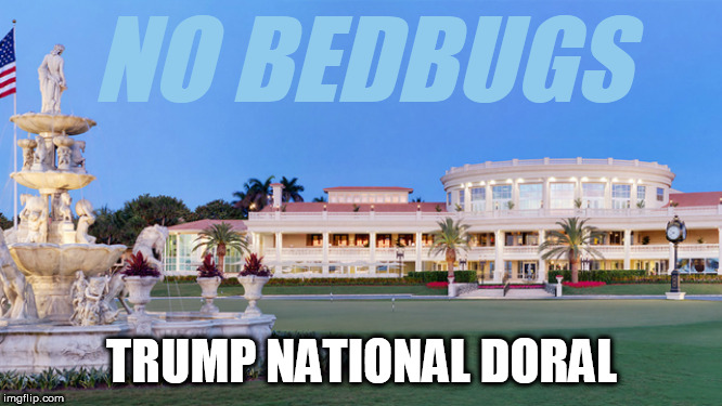 No Bedbugs at Trump National Doral | NO BEDBUGS; TRUMP NATIONAL DORAL | image tagged in doral,trump national doral,bedbugs,g7 | made w/ Imgflip meme maker