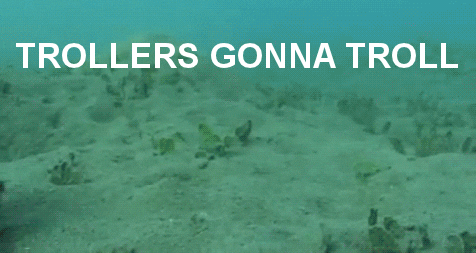 Trolling underwater Blank Meme Template