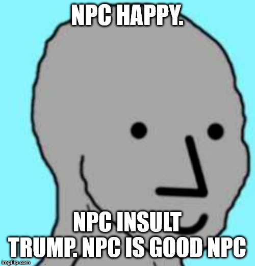 Happy NPC | NPC HAPPY. NPC INSULT TRUMP. NPC IS GOOD NPC | image tagged in happy npc | made w/ Imgflip meme maker