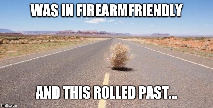 tumbleweed | WAS IN FIREARMFRIENDLY; AND THIS ROLLED PAST... | image tagged in tumbleweed | made w/ Imgflip meme maker