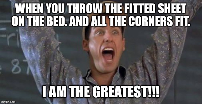 Billy Madison | WHEN YOU THROW THE FITTED SHEET ON THE BED. AND ALL THE CORNERS FIT. I AM THE GREATEST!!! | image tagged in billy madison | made w/ Imgflip meme maker