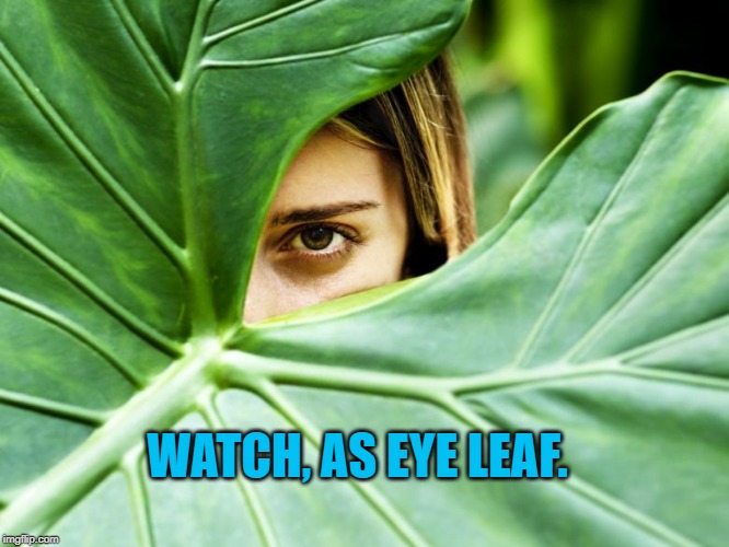 Green | WATCH, AS EYE LEAF. | image tagged in funny | made w/ Imgflip meme maker