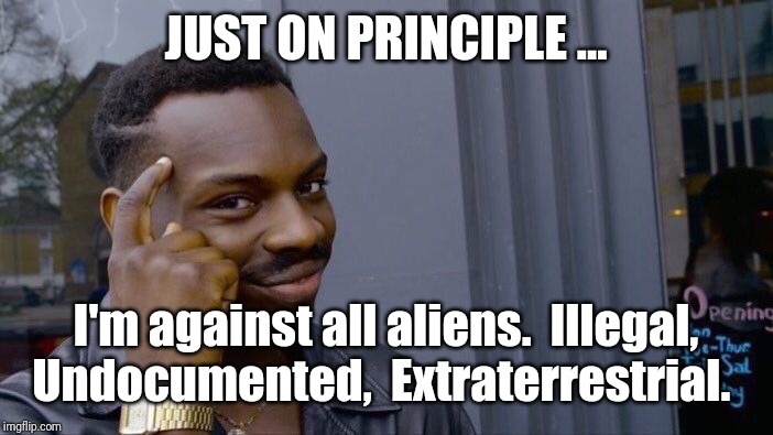 Roll Safe Think About It | JUST ON PRINCIPLE ... I'm against all aliens.  Illegal, Undocumented,  Extraterrestrial. | image tagged in memes,roll safe think about it | made w/ Imgflip meme maker