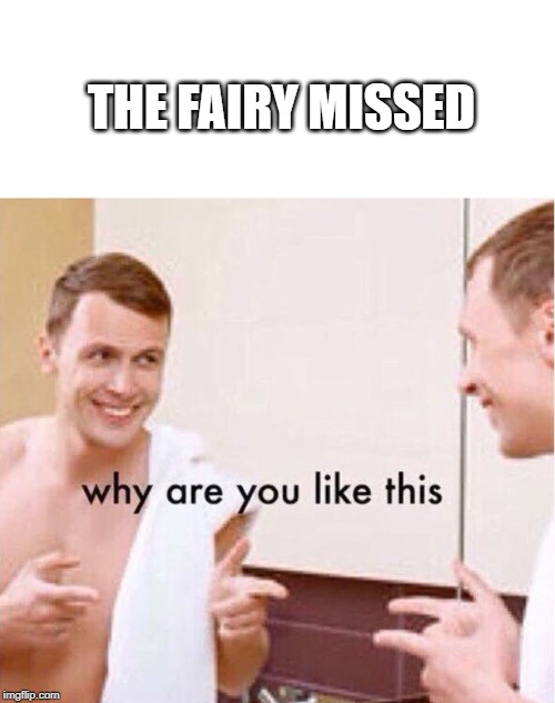 why are you like this | THE FAIRY MISSED | image tagged in why are you like this | made w/ Imgflip meme maker