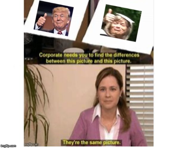 It is the same picture. | image tagged in funny meme,donald trump,donald trump is an idiot,donald trump no2 | made w/ Imgflip meme maker