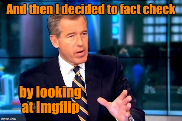 Brian Williams Was There 2 Meme | And then I decided to fact check by looking at Imgflip | image tagged in memes,brian williams was there 2 | made w/ Imgflip meme maker
