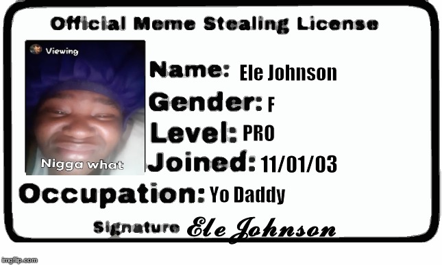 Official Meme Stealing License | Ele Johnson; F; PRO; 11/01/03; Yo Daddy; 𝓔𝓵𝓮 𝓙𝓸𝓱𝓷𝓼𝓸𝓷 | image tagged in official meme stealing license | made w/ Imgflip meme maker
