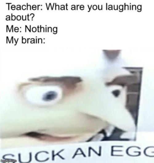 Me in class. | image tagged in fun,egg,funny | made w/ Imgflip meme maker