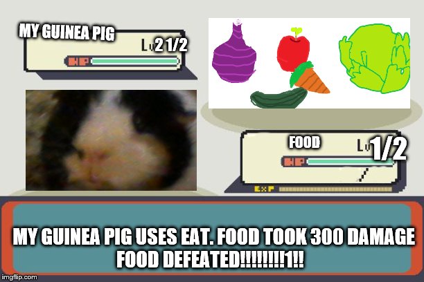 my g-pig versus food | MY GUINEA PIG; 2 1/2; 1/2; FOOD; MY GUINEA PIG USES EAT. FOOD TOOK 300 DAMAGE
FOOD DEFEATED!!!!!!!!1!! | image tagged in pokemon battle,max,memes,funny,guinea pig,cute | made w/ Imgflip meme maker