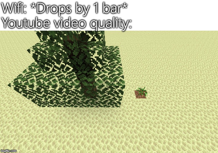 Wifi: *Drops by 1 bar*
Youtube video quality: | image tagged in minecraft | made w/ Imgflip meme maker