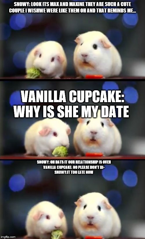 guinea pigs on a date | SNOWY: LOOK ITS MAX AND MAXINE THEY ARE SUCH A CUTE COUPLE I WISHWE WERE LIKE THEM OH AND THAT REMINDS ME... VANILLA CUPCAKE: WHY IS SHE MY DATE; SNOWY: OH DATS IT OUR RELATIONSHIP IS OVER
VANILLA CUPCAKE: NO PLEASE DON'T DI-
SNOWY:IT TOO LATE NOW | image tagged in scared guinea pigs,date,memes,funny,guinea pig | made w/ Imgflip meme maker