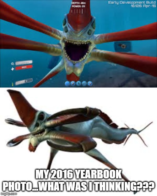 If Subnautica Creatures Were More Aware | MY 2016 YEARBOOK PHOTO...WHAT WAS I THINKING??? | image tagged in subnautica,meme | made w/ Imgflip meme maker