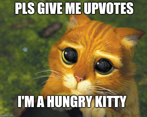  PLS GIVE ME UPVOTES; I'M A HUNGRY KITTY | image tagged in pretty please cat | made w/ Imgflip meme maker