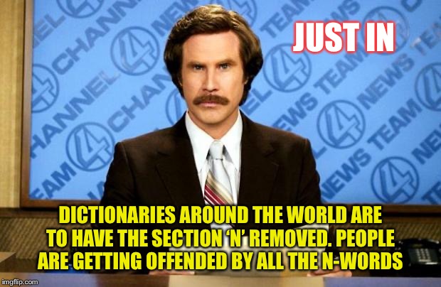 Breaki-g -ews | JUST IN; DICTIONARIES AROUND THE WORLD ARE TO HAVE THE SECTION ‘N’ REMOVED. PEOPLE ARE GETTING OFFENDED BY ALL THE N-WORDS | image tagged in breaking news | made w/ Imgflip meme maker