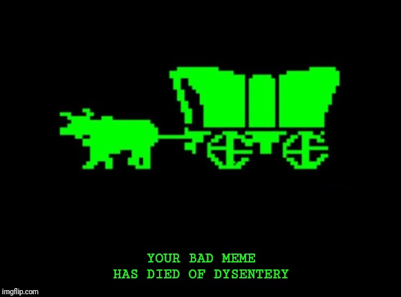 Oregon trail | YOUR BAD MEME HAS DIED OF DYSENTERY | image tagged in oregon trail | made w/ Imgflip meme maker