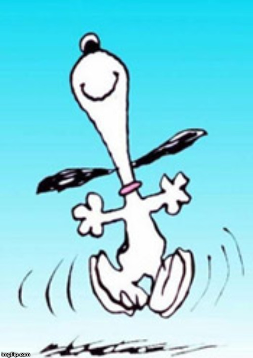 Snoopy dance | image tagged in snoopy dance | made w/ Imgflip meme maker